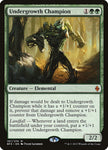 Undergrowth Champion / M / BFZ