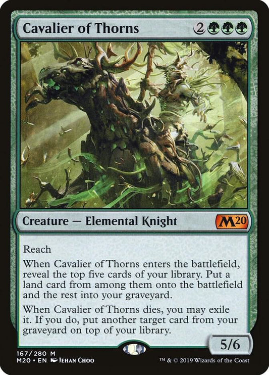 Cavalier of Thorns / M / M20