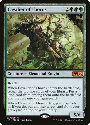 Cavalier of Thorns / M / M20