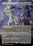 Test of Endurance (Borderless) / M / DTK