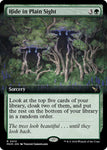 Hide in Plain Sight (Extended Art) / Rare / MKM