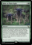 Hide in Plain Sight / Rare / MKM (FOIL)