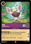 Pua - Potbellied Buddy / Common / LOR3
