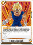 Final Explosion / Rare / FB3