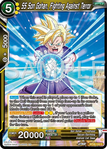 SS Son Gohan, Fighting Against Terror / Common / BT26