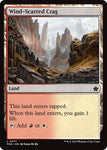 Wind-Scarred Crag / L / FDN (FOIL)