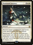 Profound Journey / R / DTK