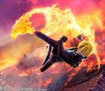 S.H.FIGUARTS Sanji The Raid On Onigashima