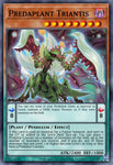 Predaplant Triantis / DIFO / Common / 1st Edition
