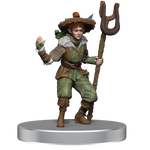 D&D Icons of the Realms Dragonlance Warrior Set