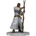 D&D Icons of the Realms Dragonlance Warrior Set