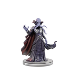 D&D Icons of the Realms Adventure in a Box Mind Flayer Voyage