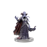 D&D Icons of the Realms Adventure in a Box Mind Flayer Voyage