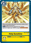 Holy Sunshine / Common / BT11