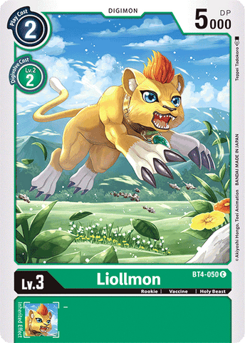 Liollmon / Common / BT4